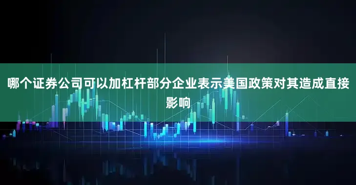 哪个证券公司可以加杠杆部分企业表示美国政策对其造成直接影响