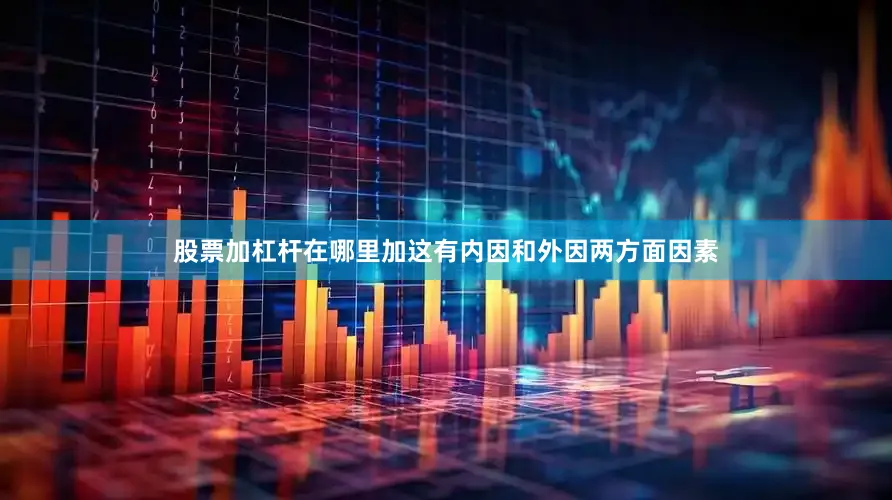 股票加杠杆在哪里加这有内因和外因两方面因素