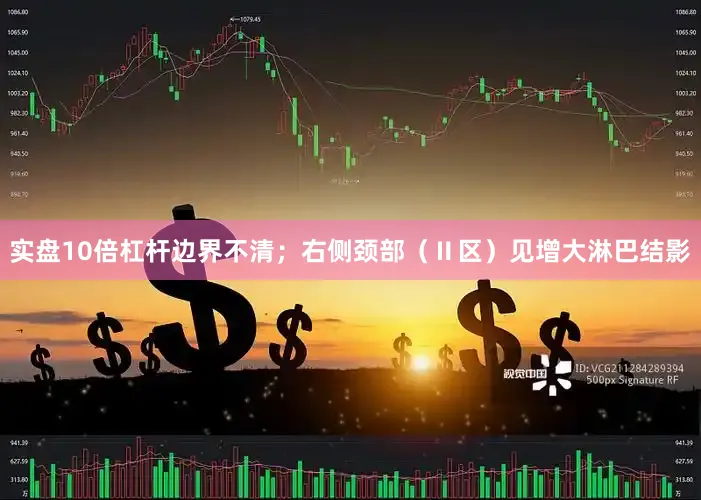 实盘10倍杠杆边界不清；右侧颈部（Ⅱ区）见增大淋巴结影