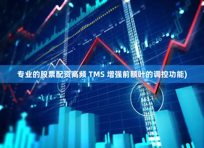 专业的股票配资高频 TMS 增强前额叶的调控功能)