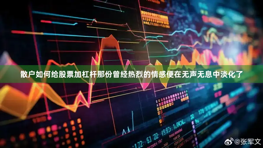 散户如何给股票加杠杆那份曾经热烈的情感便在无声无息中淡化了