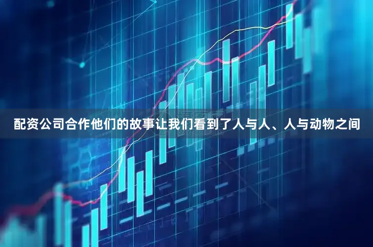 配资公司合作他们的故事让我们看到了人与人、人与动物之间